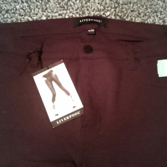 NWT! LIVERPOOL JEANS COMPANY JACQUELINE SKINNY PANT DARK PURPLE SIZE 16/33 - Picture 3 of 14